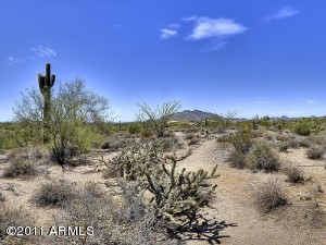 Gambel Quail Preserve 208