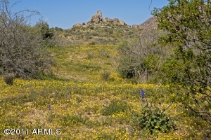 Non-HOA in Dynamite Foothills 0