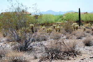 Horseshoe Canyon at Silverleaf 2926