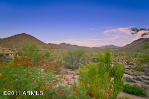 Canyon Heights home for sale