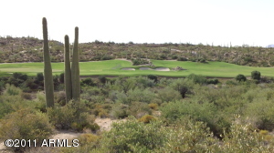 Saguaro Forest 257