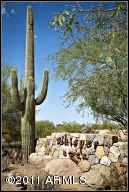 Whisper Rock 104