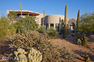 Gambel Quail