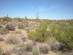 Pinnacle Peak Ranchos 34