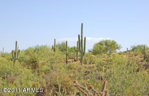 Troon Verde Custom 12