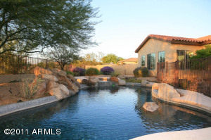 Your Backyard Oasis