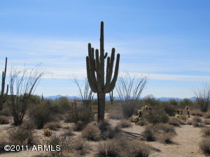 Pinnacle Peak Heights 6 8