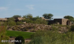 Gambel Quail