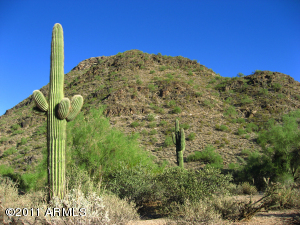 Pinnacle Peak Heights 5 5