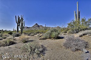 Estancia 208