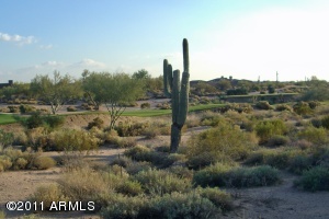 Gambel Quail Preserve 246
