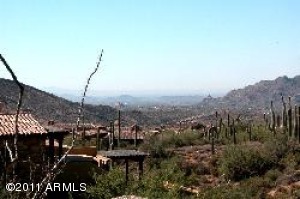 Saguaro Forest 98