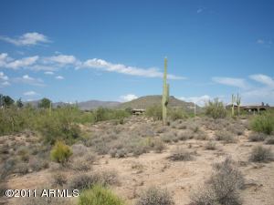 Gambel Quail Preserve 214
