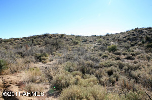 Tonto Hills 12