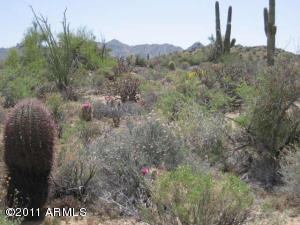 Non-HOA in Troon Area 21
