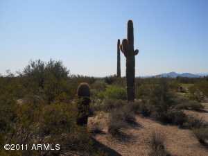 Serenity at Grayhawk 45