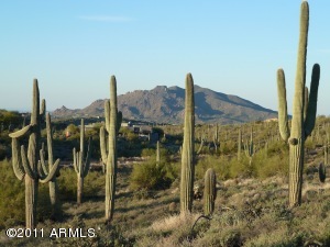 Lone Mountain (Carefree Ranch) 9