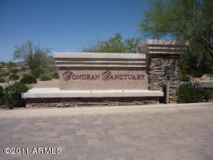 Sonoran Sanctuary 18