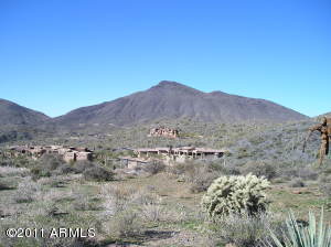 Saguaro Forest 187