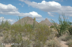Non-HOA Pinnacle Peak Area N/A
