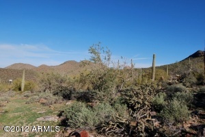 Upper Canyon at Silverleaf 1853
