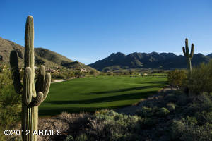 The Parks at Silverleaf 1241