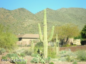 42424 GAVILAN PEAK Parkway
