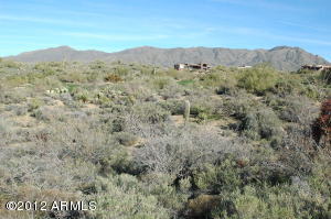 Lone Mountain II 50