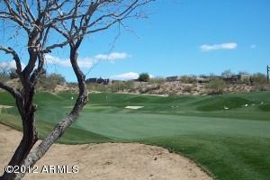 Gambel Quail Preserve 254