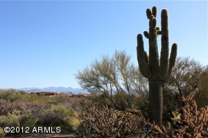South of Rio Verde 1