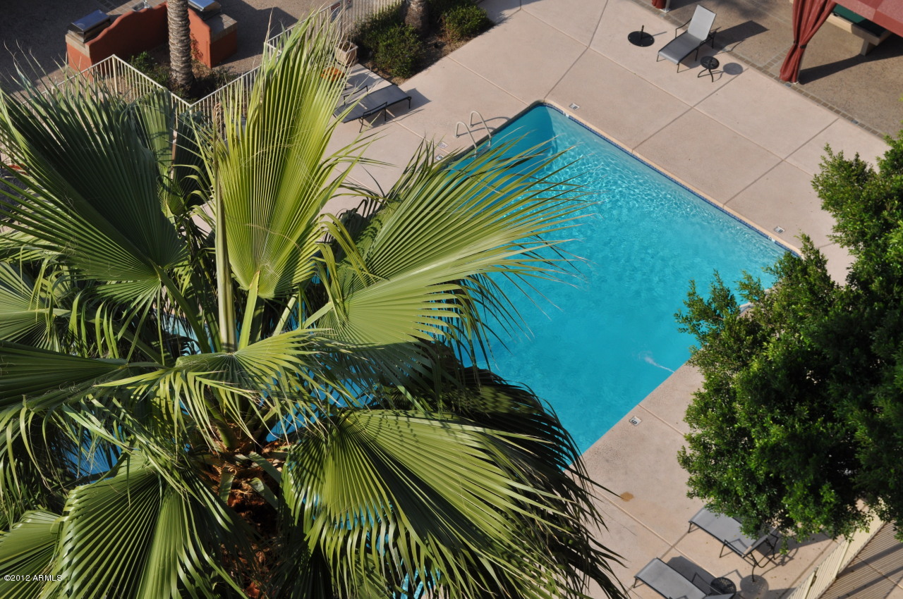 4750 N Central Avenue Unit 16 -  - Main