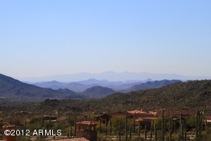 Saguaro Forest 100