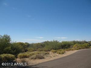 Sonoran Sanctuary 7