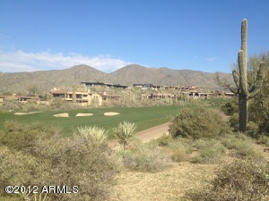 Saguaro Forest 154