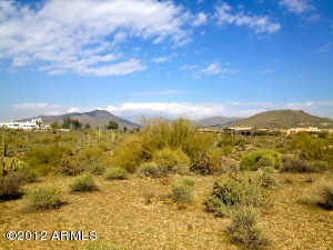 Gambel Quail Preserve 207