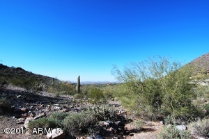 Horseshoe Canyon at Silverleaf 2415