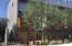 1145 E WHITTON Avenue Unit 1006