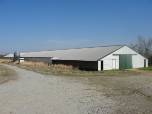 Image of Property