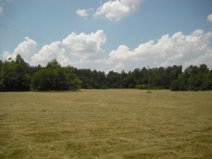 Image of Property