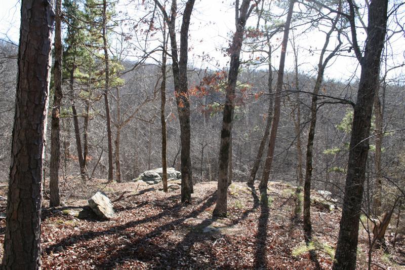 http://www.richrealty1.com/properties-search/details/?mlsnum=435283&aid=320&agt=0&anch=1&page=1&price=any&rangel=&rangeh=&propertytype=any&city=any&county=any&zipcode=any&bedrooms=any&bathrooms=any&sqft=any&acres=any