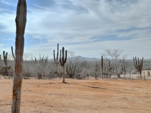  Ramon Lot  property for sale