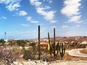  Camino del Pedernal Lot 5 Block 1  property for sale