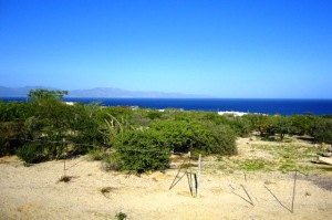  EL SARGENTO   property for sale