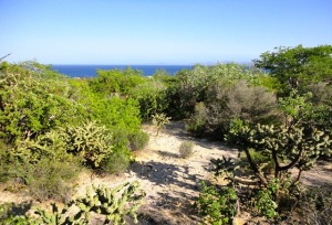  EL SARGENTO   property for sale