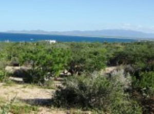  EL SARGENTO   property for sale