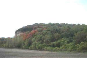 14 BLUFFS AT CEDAR CREEK