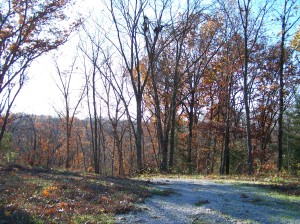 12 BLUFFS AT CEDAR CREEK