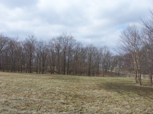home photo