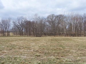 home photo