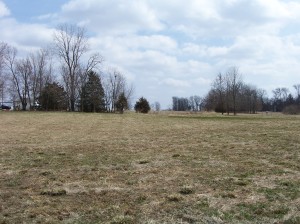 home photo